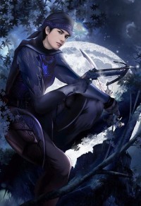 混沌龍帝(合作)