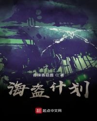 海盗计划