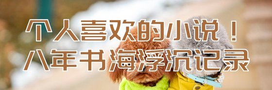 个人喜欢的小说！八年书海浮沉记录